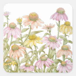 Coneflowers Waterverf Botanische Kunstvierkant Sti Vierkante Sticker