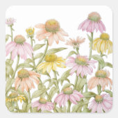 Coneflowers Waterverf Botanische Kunstvierkant Sti Vierkante Sticker (Voorkant)