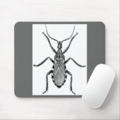 Conenose Bug -  Muismat (Met muis)