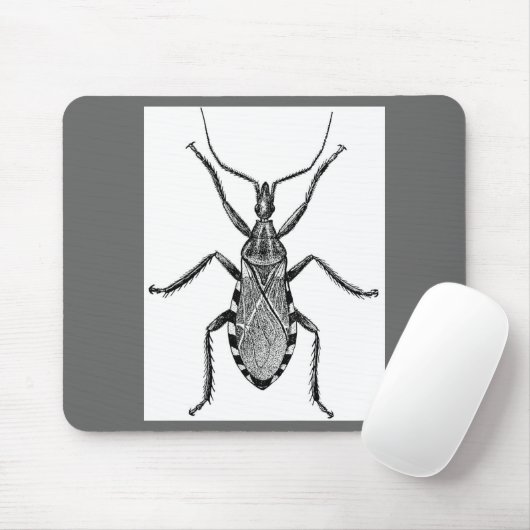 Conenose Bug - Muismat (Met muis)