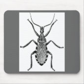 Conenose Bug - Muismat (Voorkant)