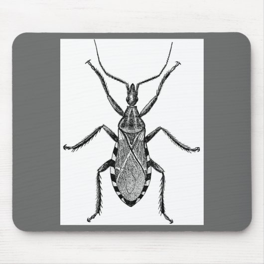 Conenose Bug -  Muismat (Voorkant)