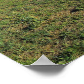 Conestoga wagon at Scottsbluff National Poster (Hoek)