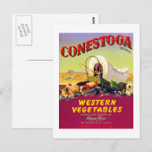 Conestoga Westerne groenten Briefkaart (Voorkant / Achterkant)