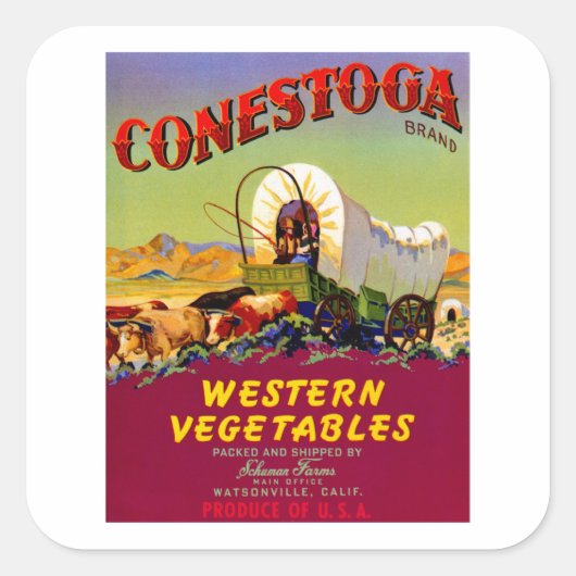 Conestoga Westerne groenten Vierkante Sticker (Voorkant)