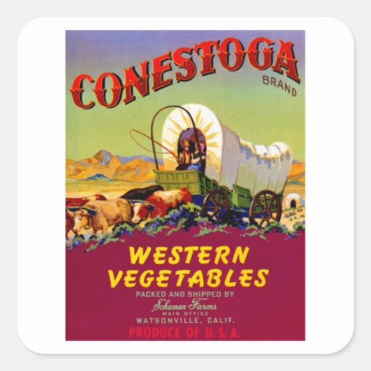 Conestoga Westerne groenten Vierkante Sticker (Voorkant)