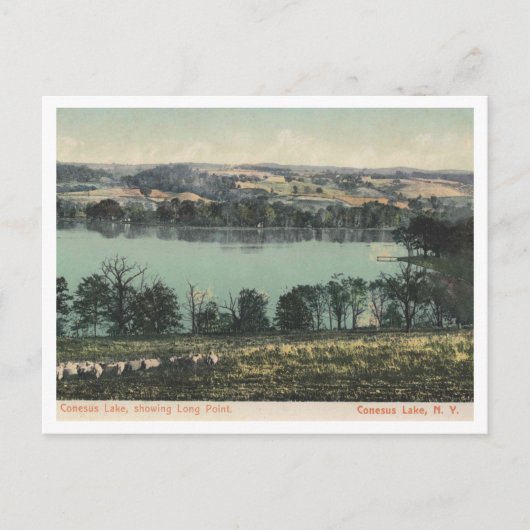 Conesus Lake NY, Long Point Uitzicht 1905 Briefkaart (Voorkant)