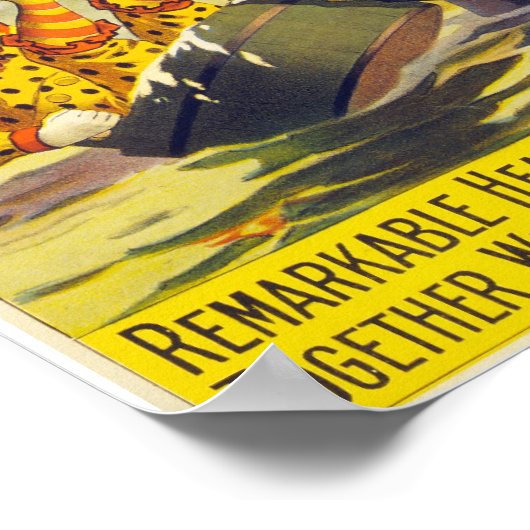 Coney Island Circus Acrobat Poster (Hoek)