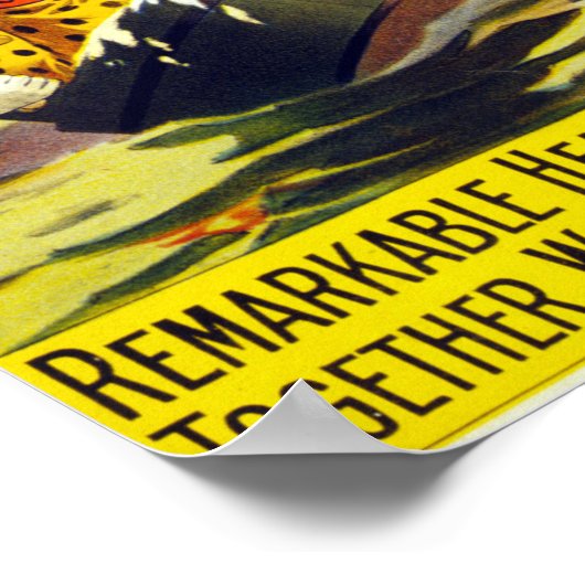  Coney Island Circus Water Carnaval Poster (Hoek)