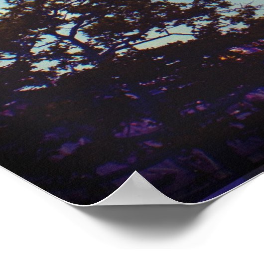 Coney Island Cyclone Poster (Hoek)