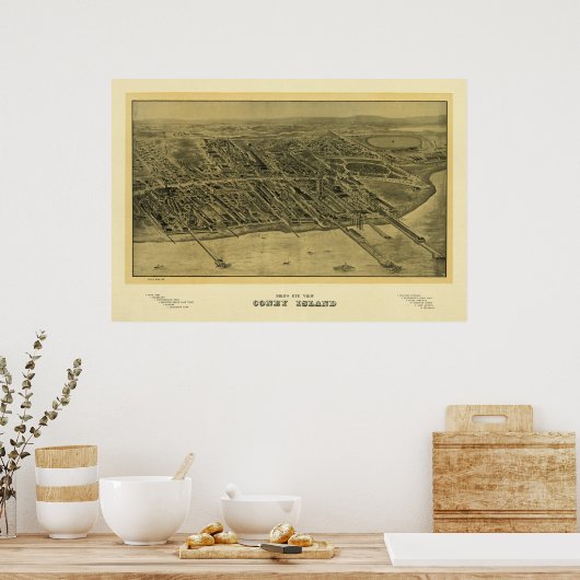 Coney Island NY 1906, Old Print (Keuken)