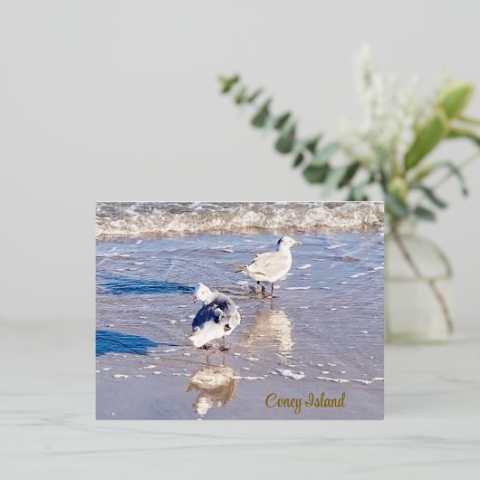 Coney Island Seagulls Folie Feestdagen Briefkaart (Staand Voorkant)