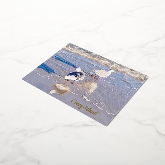 Coney Island Seagulls Folie Feestdagen Briefkaart (Gedraaid)