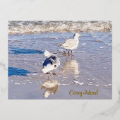 Coney Island Seagulls Folie Feestdagen Briefkaart (Voorkant)