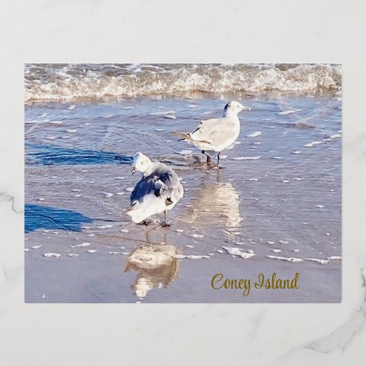 Coney Island Seagulls Folie Feestdagen Briefkaart (Voorkant)