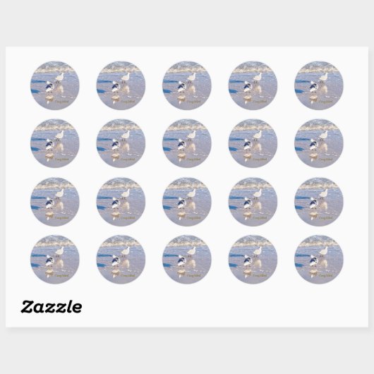 Coney Island Seagulls Ronde Sticker (Vel)