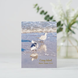 Coney Island Zeemeeuwen Briefkaart