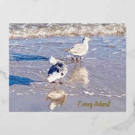 Coney Island Zeemeeuwen Folie Feestdagen Briefkaart
