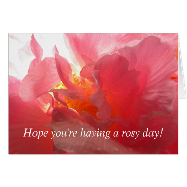 Confederate Roos (Voorkant Horizontaal)