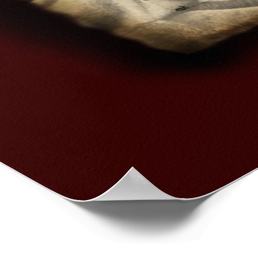 Confederate Service Oath Poster (Hoek)