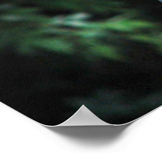 Conferentie over de vogelstand poster (Hoek)