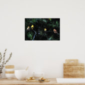 Conferentie over de vogelstand poster (Keuken)