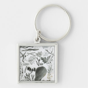 Conferra Fucus Sleutelhanger