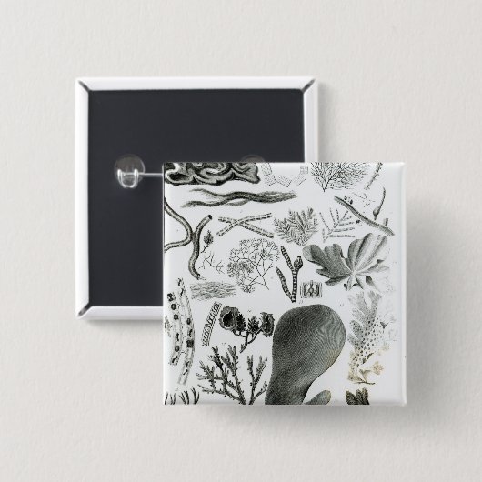 Conferra Fucus Vierkante Button 5,1 Cm (Voorkant /achterkant)