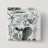 Conferra Fucus Vierkante Button 5,1 Cm (Voorkant)