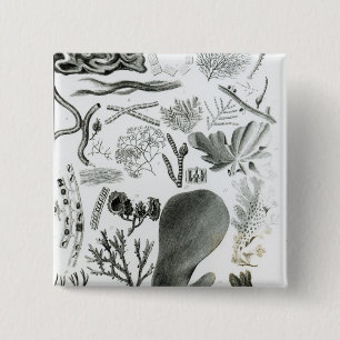 Conferra Fucus Vierkante Button 5,1 Cm