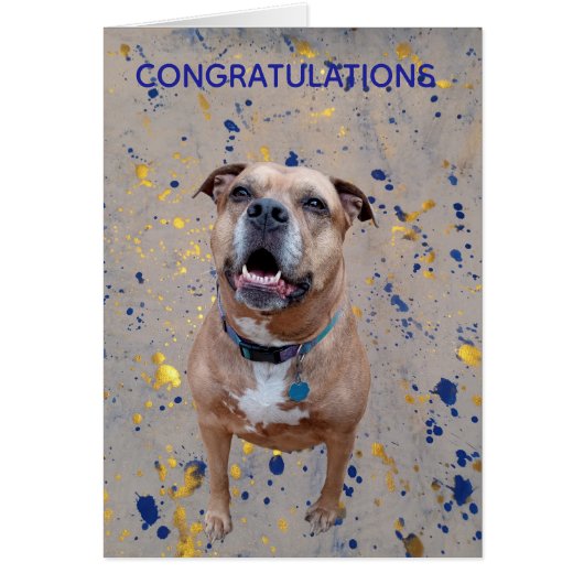 Confetti Congratulations Card (Voorkant)