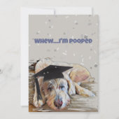 Confetti Gefeliciteerd Afstuderen Hond met Pet Kaa Bedankkaart (Voorkant)