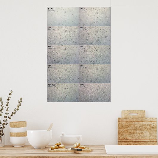 Confluence follow-up Chart Poster (Keuken)