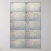 Confluence follow-up Chart Poster (Voorkant)