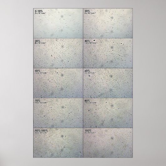 Confluence follow-up Chart Poster (Voorkant)