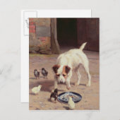 Confrontatie Briefkaart (Voorkant / Achterkant)