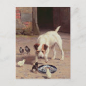 Confrontatie Briefkaart (Voorkant)