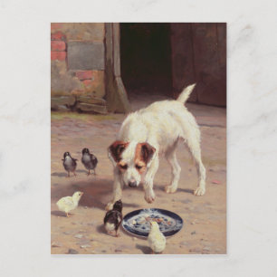 Confrontatie Briefkaart