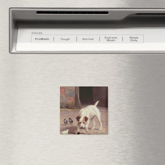 Confrontatie Magneet (Insitu (Vaatwasser))