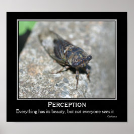Confucius Quote Beauty Cicada Motivatie Poster