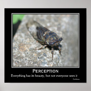 Confucius Quote Beauty Cicada Motivatie Poster