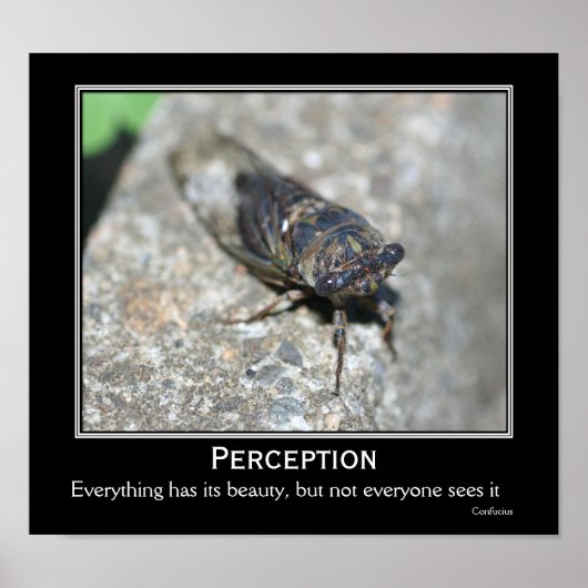 Confucius Quote Beauty Cicada Motivatie Poster (Voorkant)