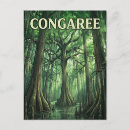 Congaree Forest Briefkaart