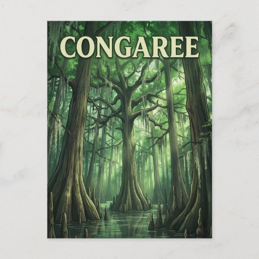 Congaree Forest Briefkaart (Voorkant)