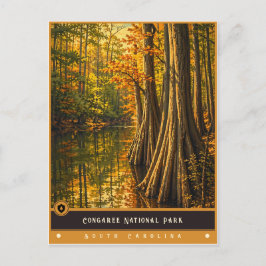Congaree National Park | Antieke ansichtkaart Briefkaart