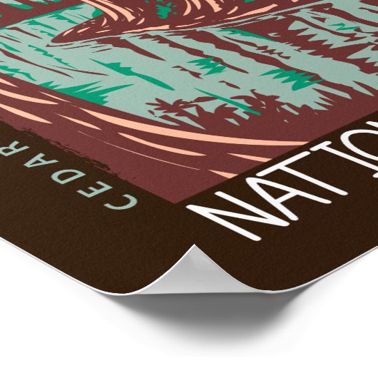 Congaree National Park Cedar Creek  Poster (Hoek)