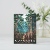 Congaree National Park Cipreswoud Briefkaart (Staand voorkant)