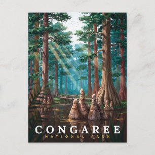Congaree National Park Cipreswoud Briefkaart