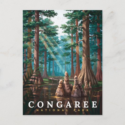 Congaree National Park Cipreswoud Briefkaart (Voorkant)