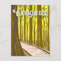 Congaree National Park Illustration Travel 